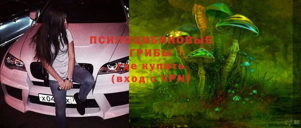 мескалин Алексин